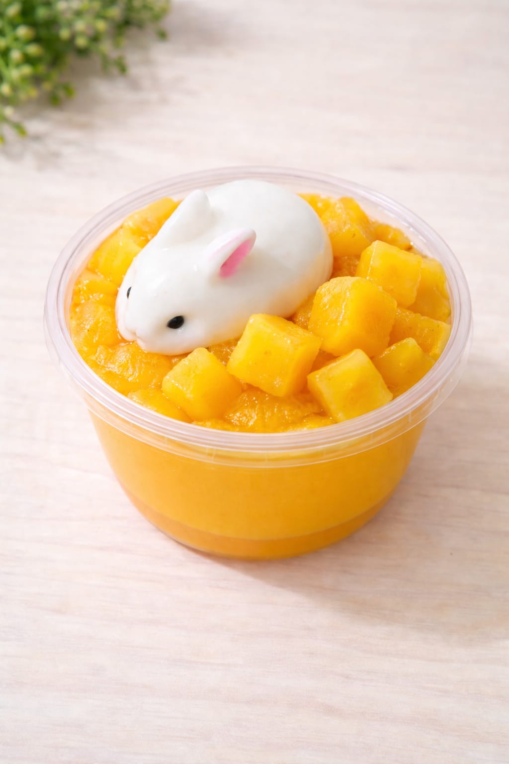 Pudding Mangga